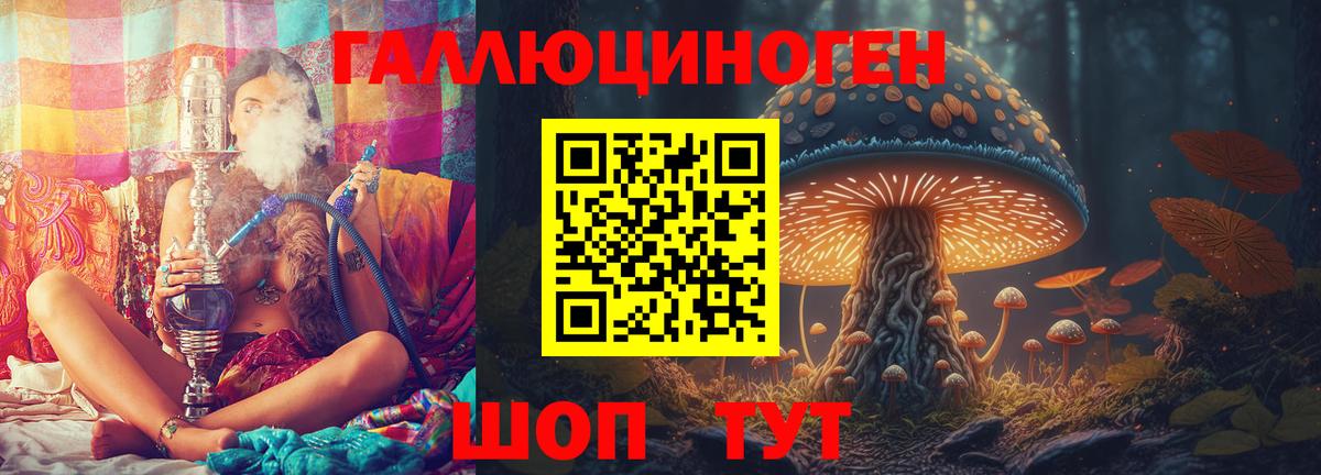 купить закладку  Галлюциногенные грибы Magic Shrooms  Вход с VPN  Аргун  Галлюциногенные грибы Psilocybe 