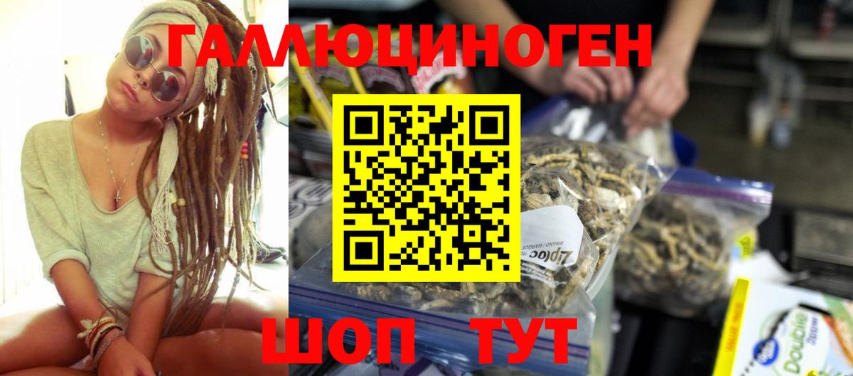 Галлюциногенные грибы Cubensis Аргун
